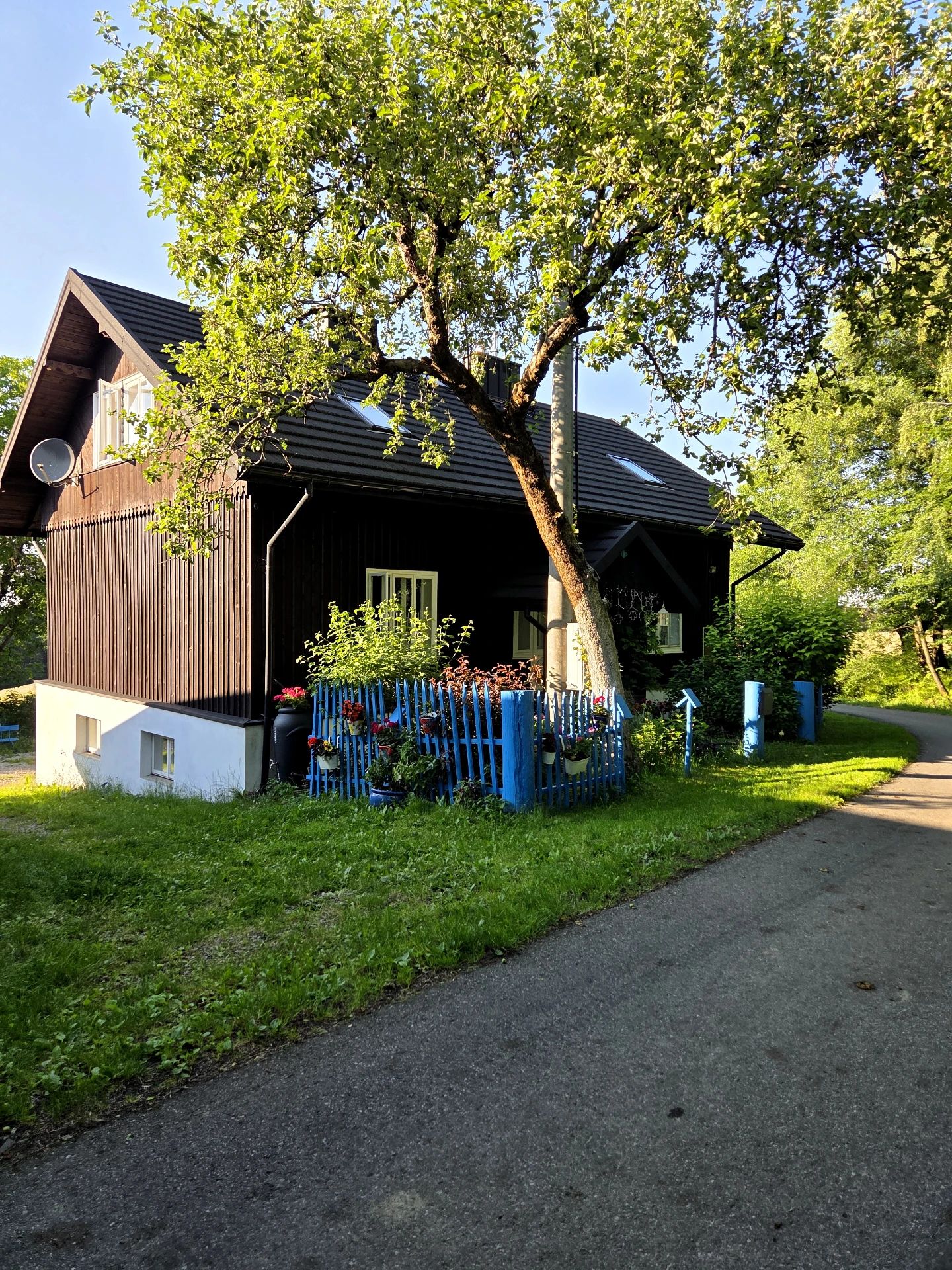 Ogródek obecnie