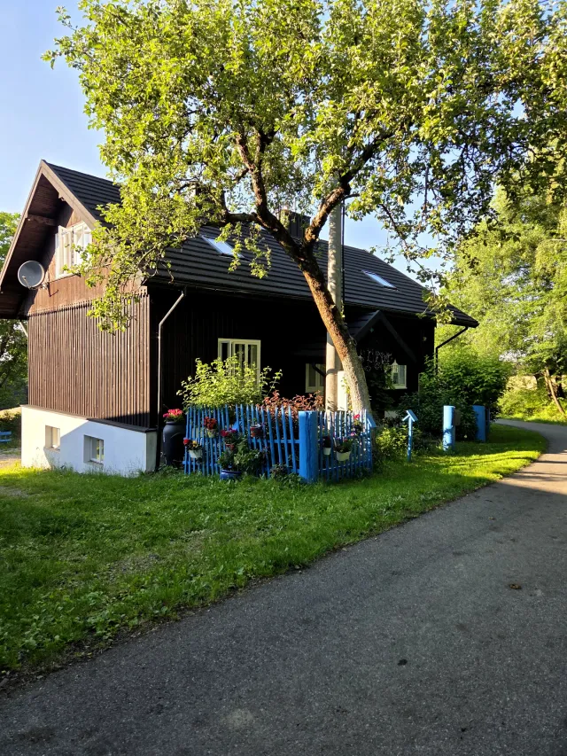 Ogródek obecnie