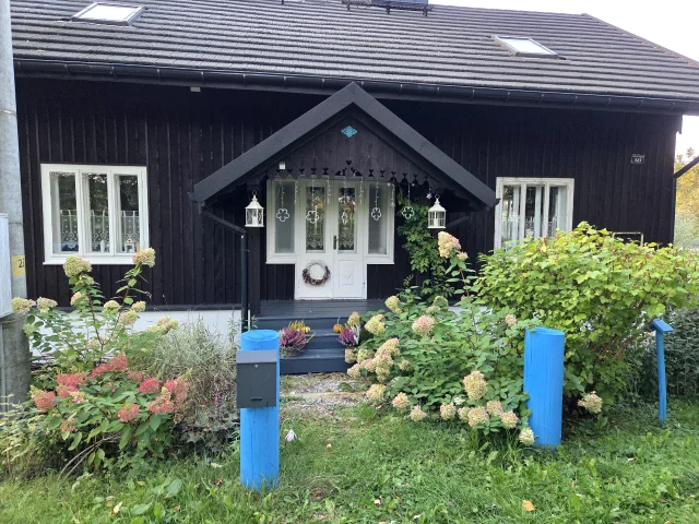 Ogródek, który rósł razem z nami